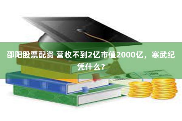 邵阳股票配资 营收不到2亿市值2000亿，寒武纪凭什么？