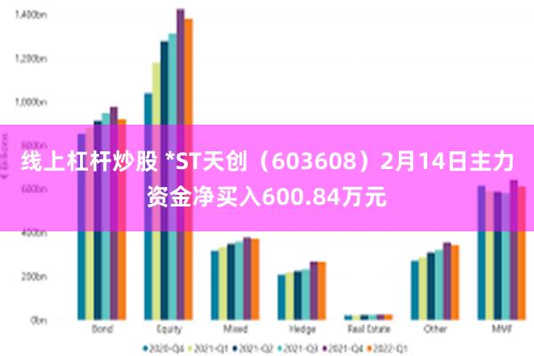 线上杠杆炒股 *ST天创（603608）2月14日主力资金净买入600.84万元