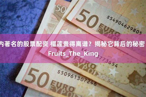 国内著名的股票配资 榴莲贵得离谱？揭秘它背后的秘密！_Fruits_The_King
